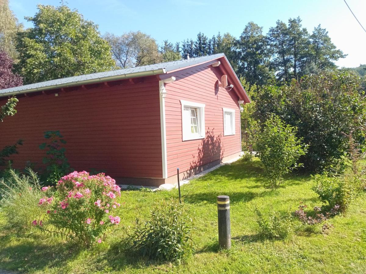 Ferienhaus Am Wald Wippra Ngoại thất bức ảnh