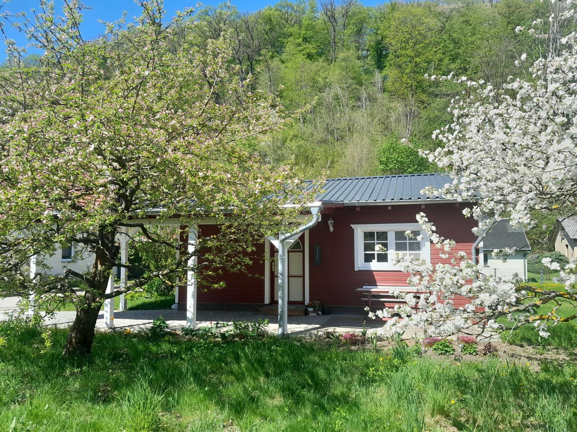 Ferienhaus Am Wald Wippra Ngoại thất bức ảnh